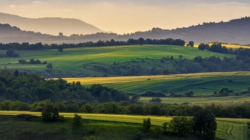 The Role of Plastics in Modern Agriculture