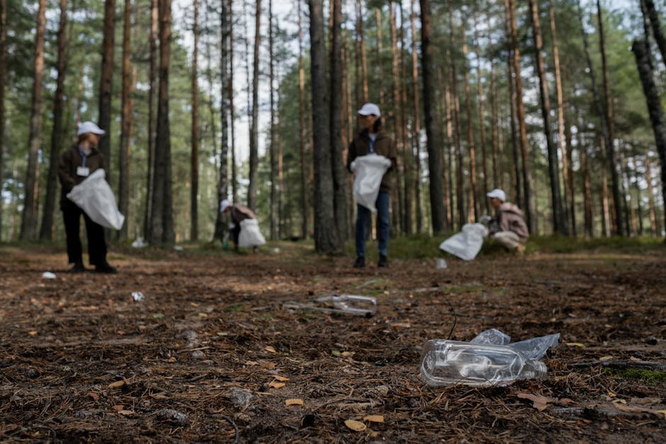 How to Improve Plastic Recycling Rates in Your Community